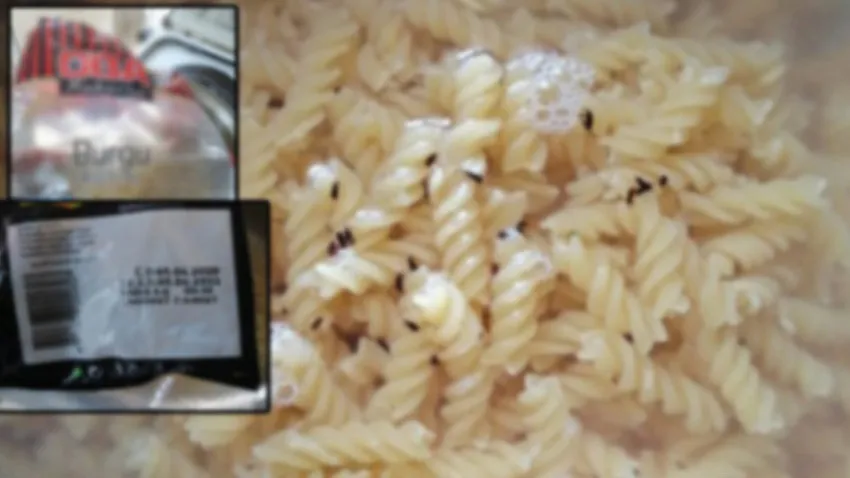 Böceklenen ürünler için sahte evrak düzenlediler!