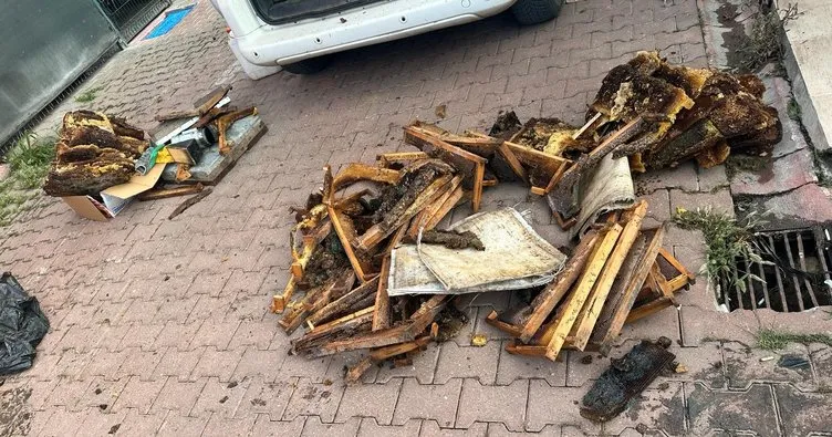 “Kraliçe arıyı taşıyoruz” dedikleri kovanlardan 53,5 kilo uyuşturucu çıktı
