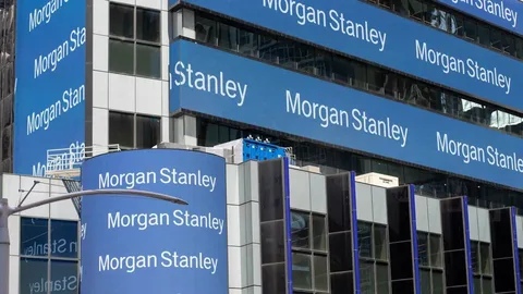 Morgan Stanley, Borsa İstanbul’daki üyeliğini iptal etti