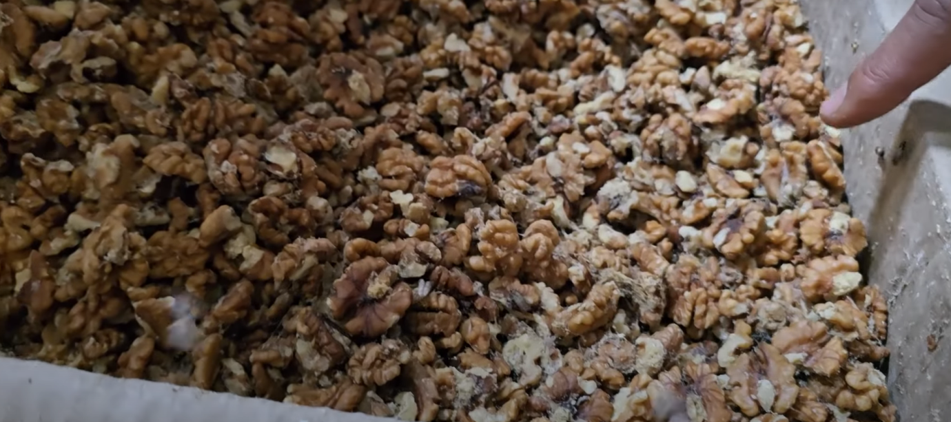 Ünlü baklavacıda 'kurtlanmış ceviz' skandalı!