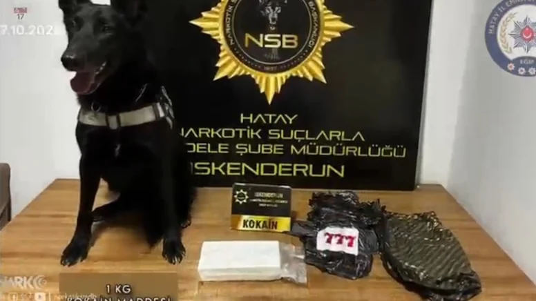 Hatay'da 5 milyon 500 bin TL'lık kokain ele geçirildi