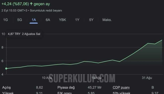 Bir ayda yüzde 88 yükselen kamu bankası hisselerinde işlemler durduruldu