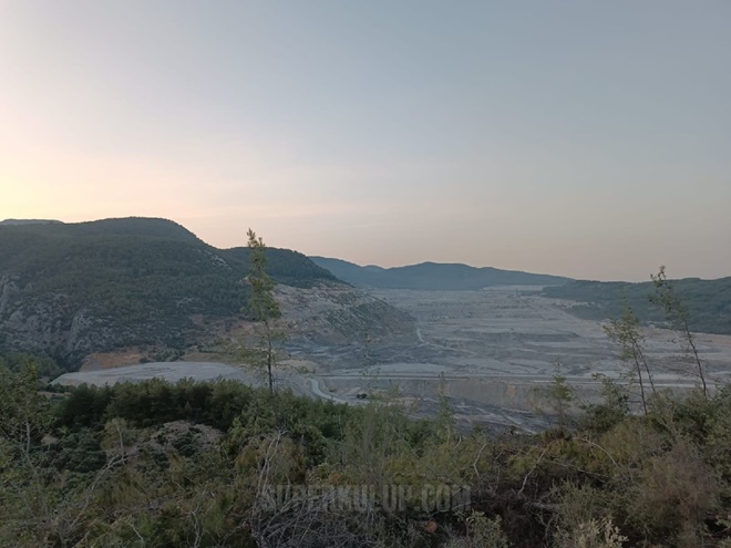 Akbelen’deki ormanlardan ne istiyorsunuz?