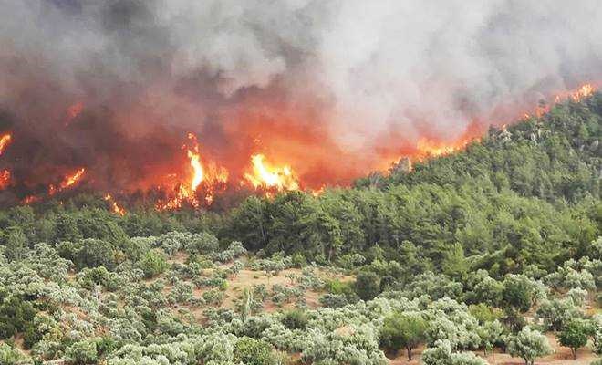Akçaova'daki yangın hızla ilerliyor
