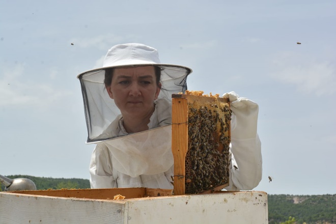 BANKACILIKTAN İSTİFA EDİP ARICI OLDU