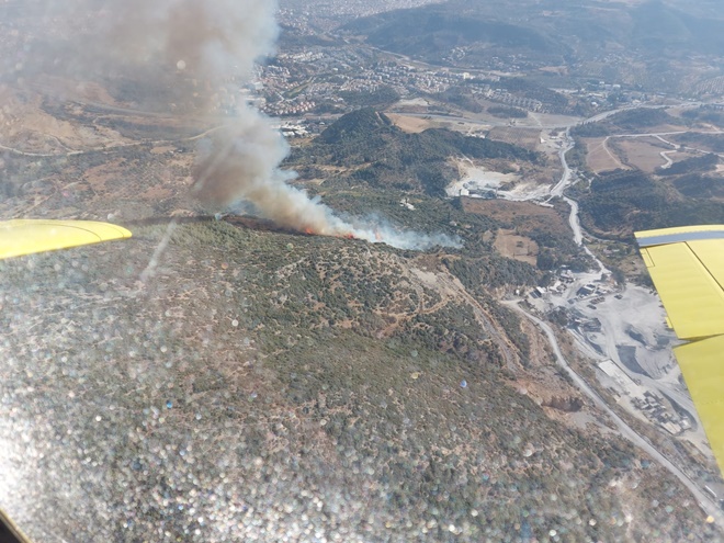 Aydın’da yangın! Havadan ve karadan müdahale ediliyor