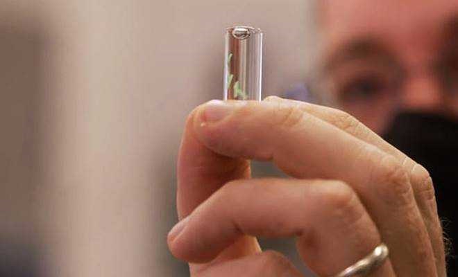 Pentagon 'Kovid çipi' geliştirdi