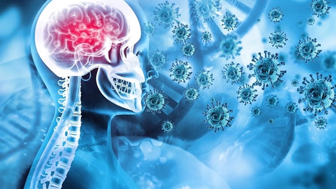 Covid-19'a yakalananın beyni küçülüyor