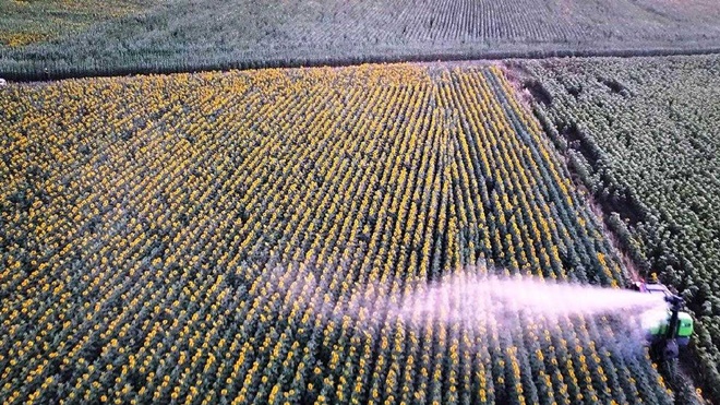 Edirne’de ‘çayır tırtılı’na karşı mücadele tamamlandı! Çiftçilere önemli uyarı