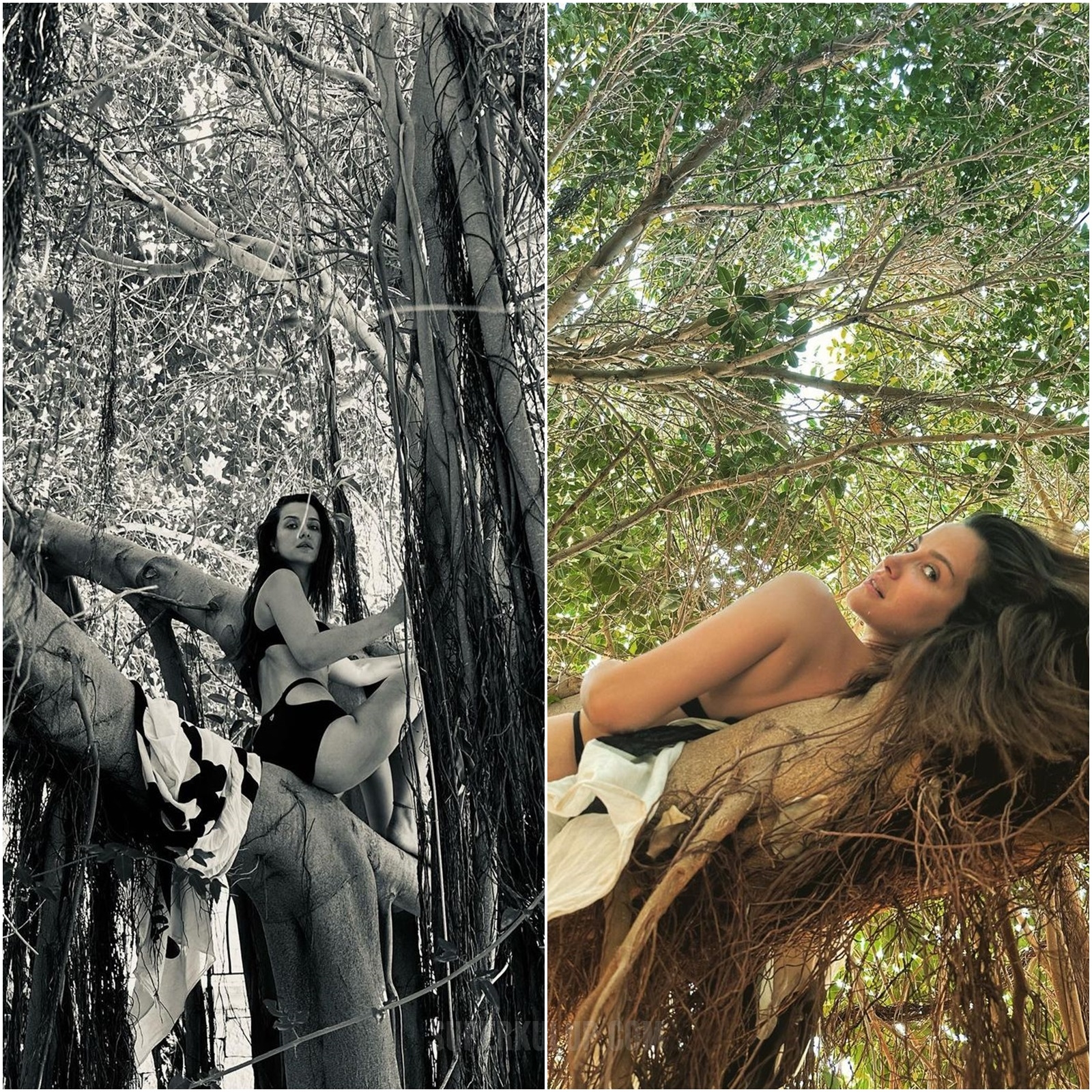 İrem Helvacıoğlu bikiniyle ağaç tepesinde poz verdi