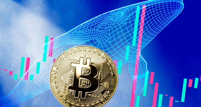 Kriptoda balina etkisi