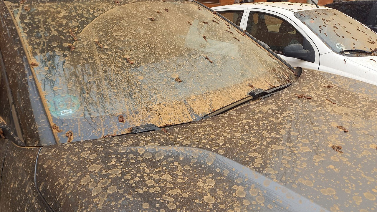 Meteoroloji'den 2 bölge için yağmur ve toz taşınımı uyarısı