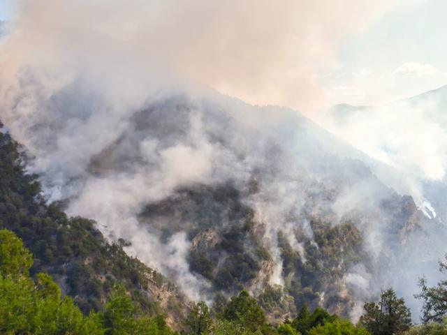 İzmir'de 50 milyonluk 'Ormanbank' vurgunu!