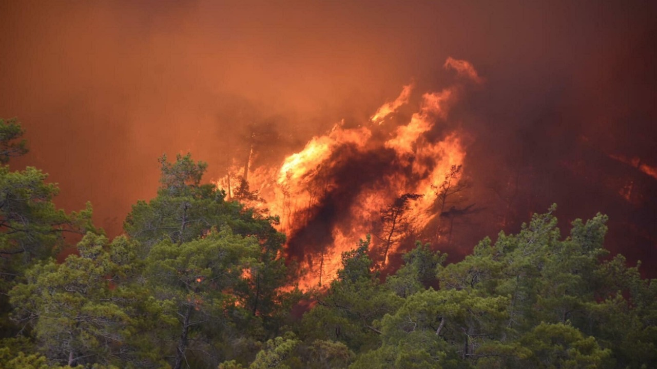 Osmaniye'de korkutan yangın! Düziçi'nde yangın çıktı