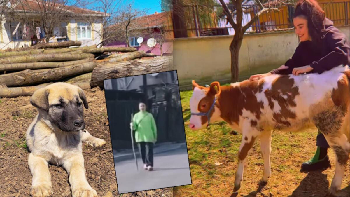 Sahne ışıkları da yok, ışıltılı kıyafetler de... Ünlü şarkıcının köy hayatı