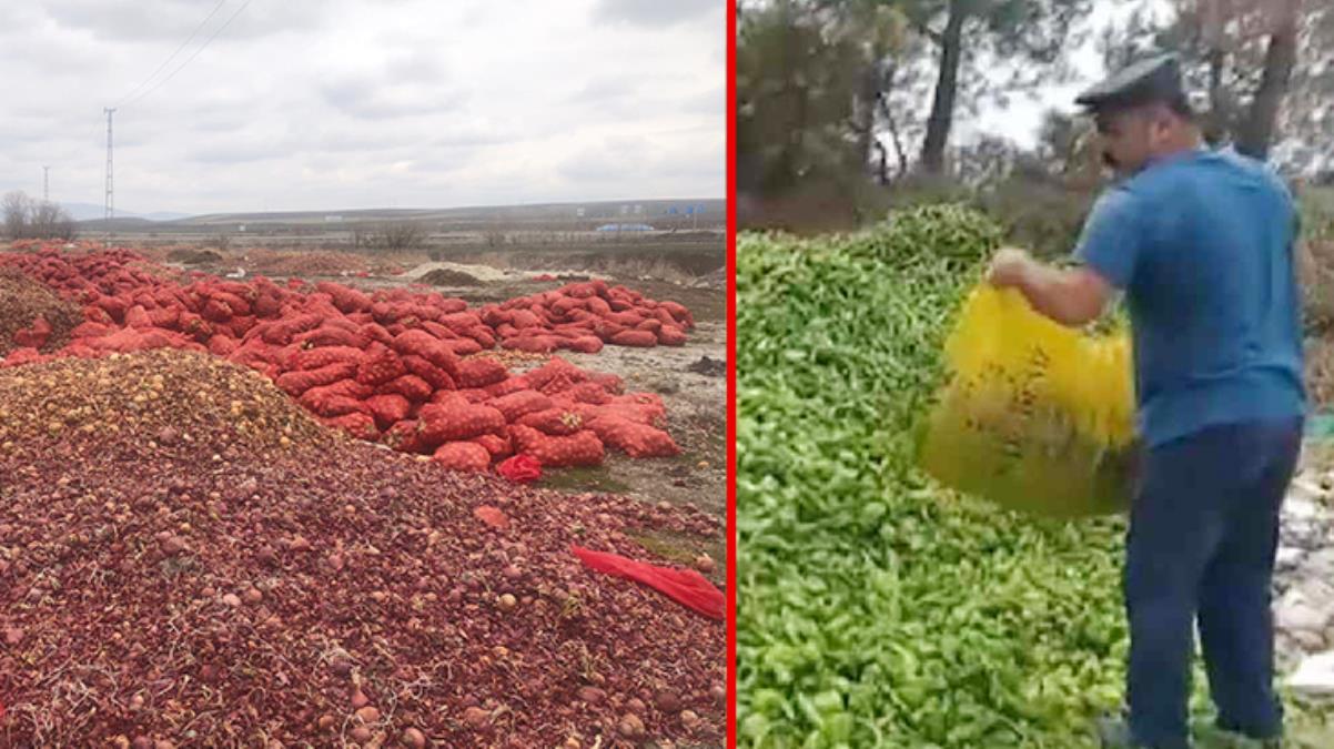 Sebzelerin çöpe döküldüğü görüntüler tepki çekmişti! Ticaret Bakanlığı, işin aslını açıkladı