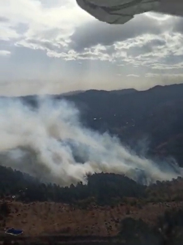 Son dakika: İzmir’de orman yangını