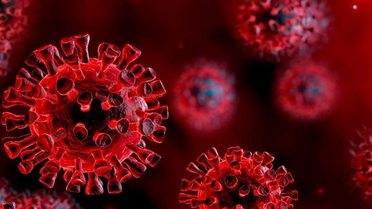 Tekrar tekrar Covid-19 bulaşanlarla ilgili endişe yaratan uyarı