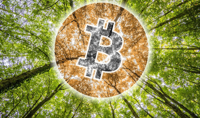 Wall Street felaket uzmanı: Kripto baharı kaçınılmaz